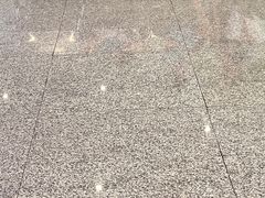 -惠东南站