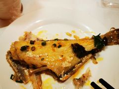 -川道拐耗儿鱼(置信路店)