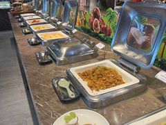 -齐河孔雀王温泉酒店·金孔雀自助百汇