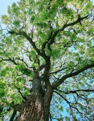 -美肤盾祛痘·问题肌头疗管理中心