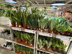 -宜家家居(西安未央商场店)