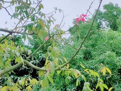 -矿泉游泳场
