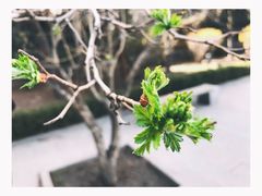 -周恩来同志少年读书旧址