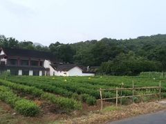 -钱江新城灯光秀