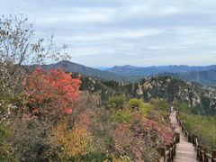 -大岭沟猕猴桃谷风景区