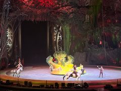 -广州长隆国际大马戏