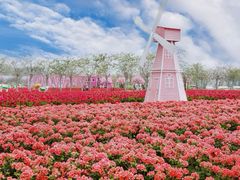 -盈香心动乐园