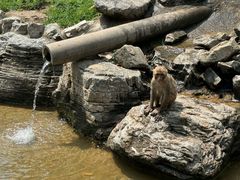 -北京野生动物园