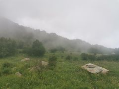 -白草畔自然风景区