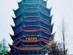 -铁山坪森林公园