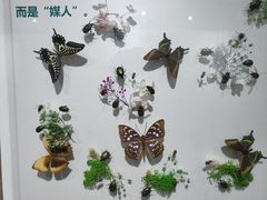-沈阳鸟岛