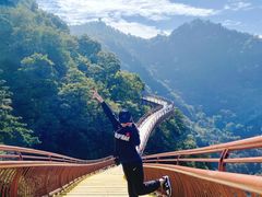-少华山国家森林公园