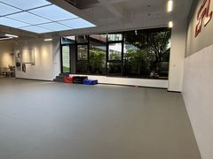 -EFL巴西柔术·综合格斗·泰拳·少儿体能训练(虹桥德必馆)
