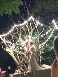 -你好晴天·目的地婚礼