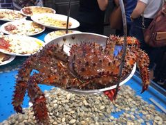 -船歌·鱼水饺青岛菜(闽江二路店)