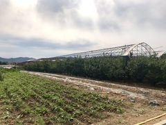 -北马山庄植趣咖啡
