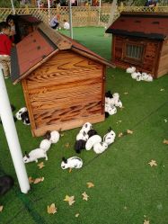 -萌宠亲子动物乐园(槐房万达店)