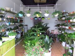 -田园花舍花店(北城未来实体店)