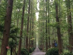 iphone_upload_pic-上海怡沁园度假酒店