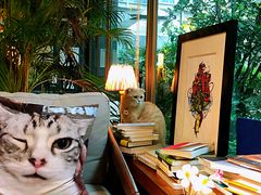 -咖法森林·咖啡  酒吧(天河店)