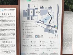 -东山雕花楼