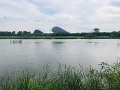 -哈尔滨大剧院