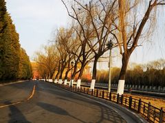 -东华门大街小区