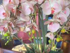 -八府香鸭·啫啫煲(华山路店)