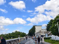 -宝安西湾红树林湿地公园