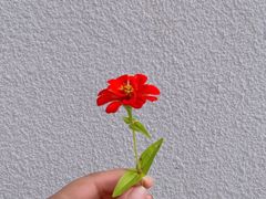 -汕尾莲花山温泉度假村