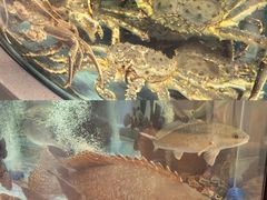 -海底捞大排档火锅(打浦路店)