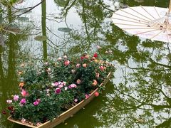 -人民公园(罗湖区)