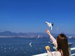 -滇池海埂公园