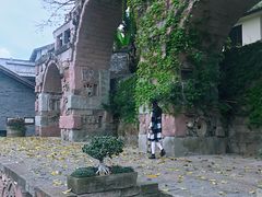 -大渡口区义渡公园
