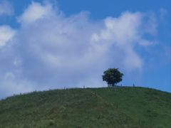 -怀托摩萤火虫洞