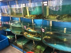 -紫阳家宴(源深店)