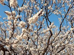 -里口山风景名胜区