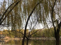 -青城公园