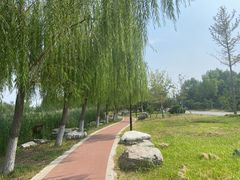 -水西公园