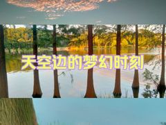 -东莞植物园