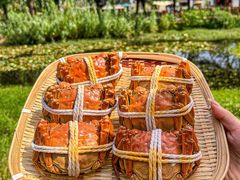 -丫丫蟹庄·苏式园林农家乐·阳澄湖大闸蟹(阳澄湖莲花岛店)