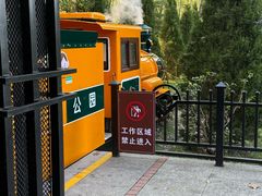 -合肥滨湖国家森林公园