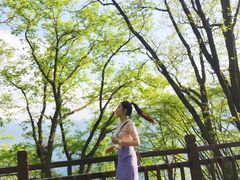 -陕西省红河谷森林公园
