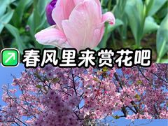 -凤凰沟景区