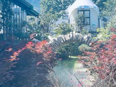 -云禾壹海景庄园餐厅