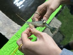 -会江钓鱼钓虾烧烤场