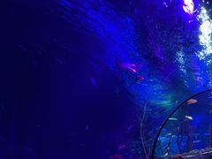 -沈阳海洋探索中心