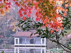 -杭州植物园