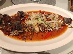 石斑鱼-三号黄浦会Canton Table