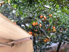 -老熊家·野生菌·生态农场餐厅